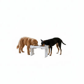 All For Paws Multi Height Comedouro Duplo para c&atilde;es e gatos