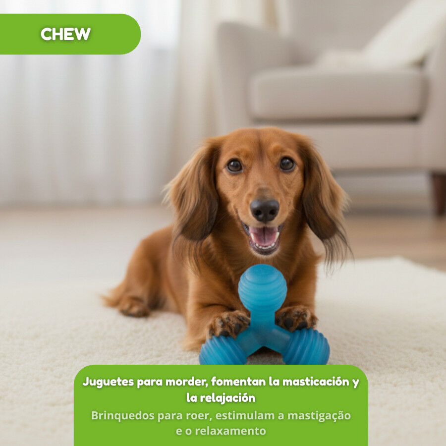 Tootoy! Chew Mordedor bola tripla para c&atilde;es, , large Imagem n&uacute;mero 5