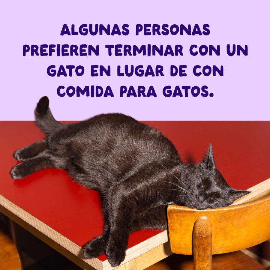 70 g Edgard & Cooper Filetes de Salm&oacute;n y At&uacute;n Lata para gatos, , large Imagem n&uacute;mero 9
