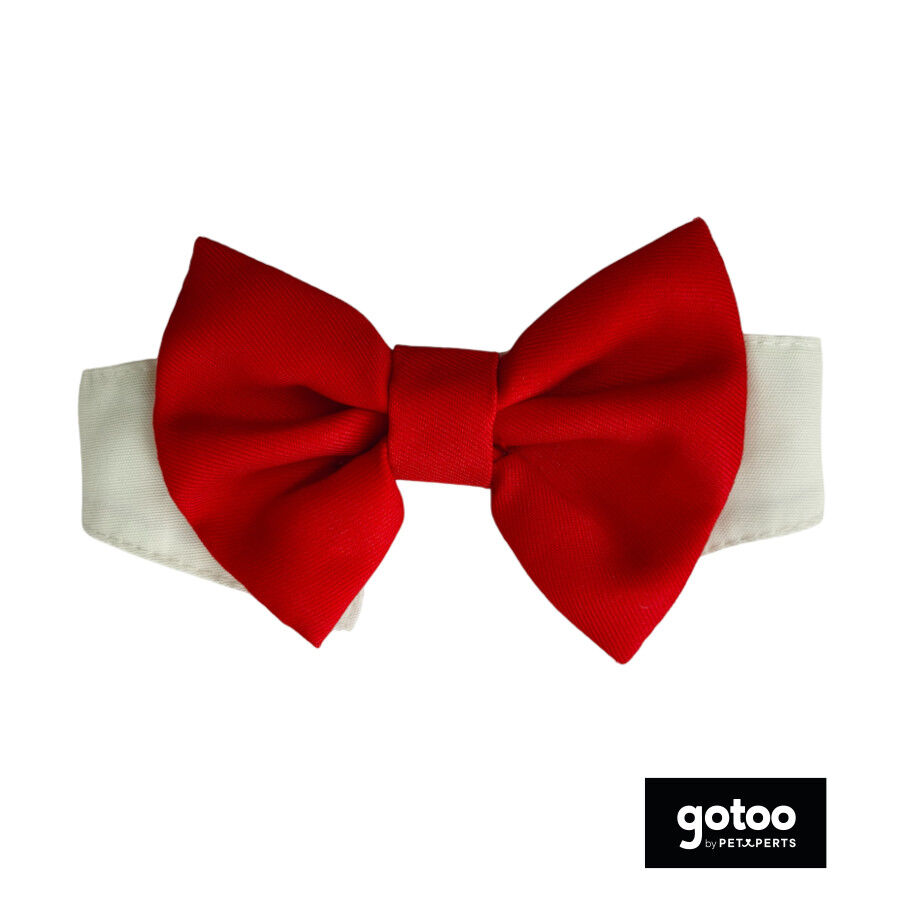 Gotoo La&ccedil;o vermelho para c&atilde;es, , large Imagem n&uacute;mero 2