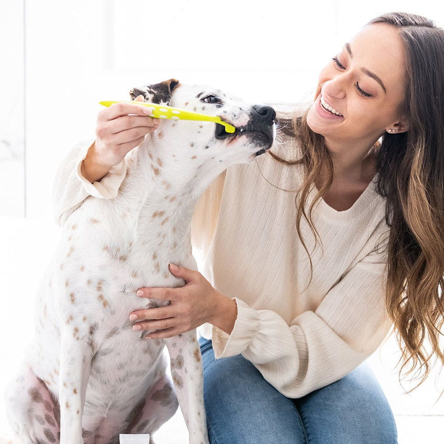 Petosan Kit de limpeza dent&aacute;ria para c&atilde;es m&eacute;dios, , large Imagem n&uacute;mero 7