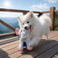 Summer Vibes Dolce Vita Elephant Peluche para c&atilde;es, , large Indicador imagem n&uacute;mero 1