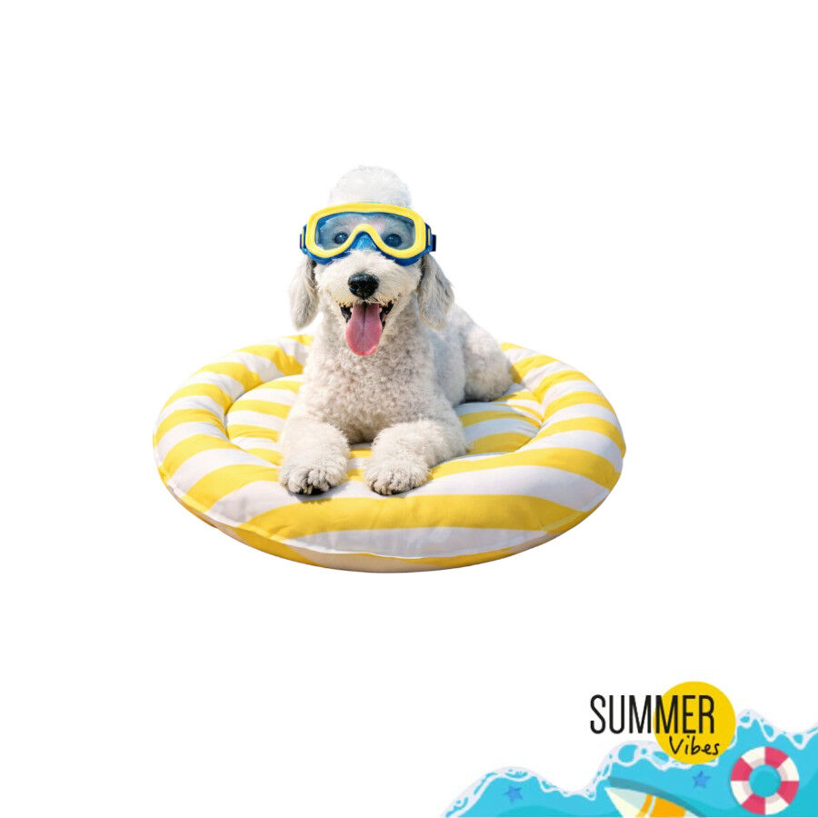 Summer Vibes Round Cool Mat Club Cama Refrescante para c&atilde;es, , large Imagem n&uacute;mero 7