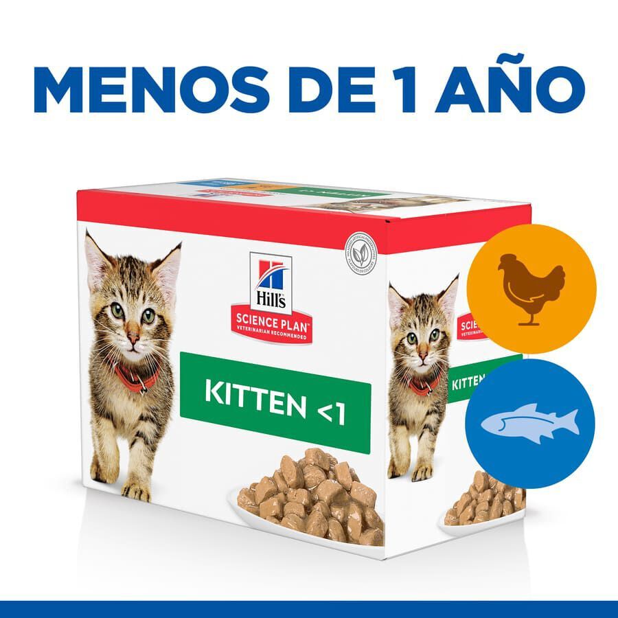 24 saquetas x 85 g Hill's Science Plan Kitten Alimento h&uacute;mido de frango e peixe em saqueta para gatinhos Pack Poupan&ccedil;a!, , large Imagem n&uacute;mero 2