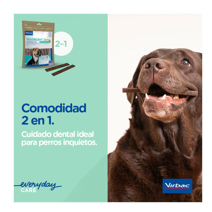 15 sticks Virbac L&aacute;minas Veggiedent Zen S para c&atilde;es, , large Imagem n&uacute;mero 5