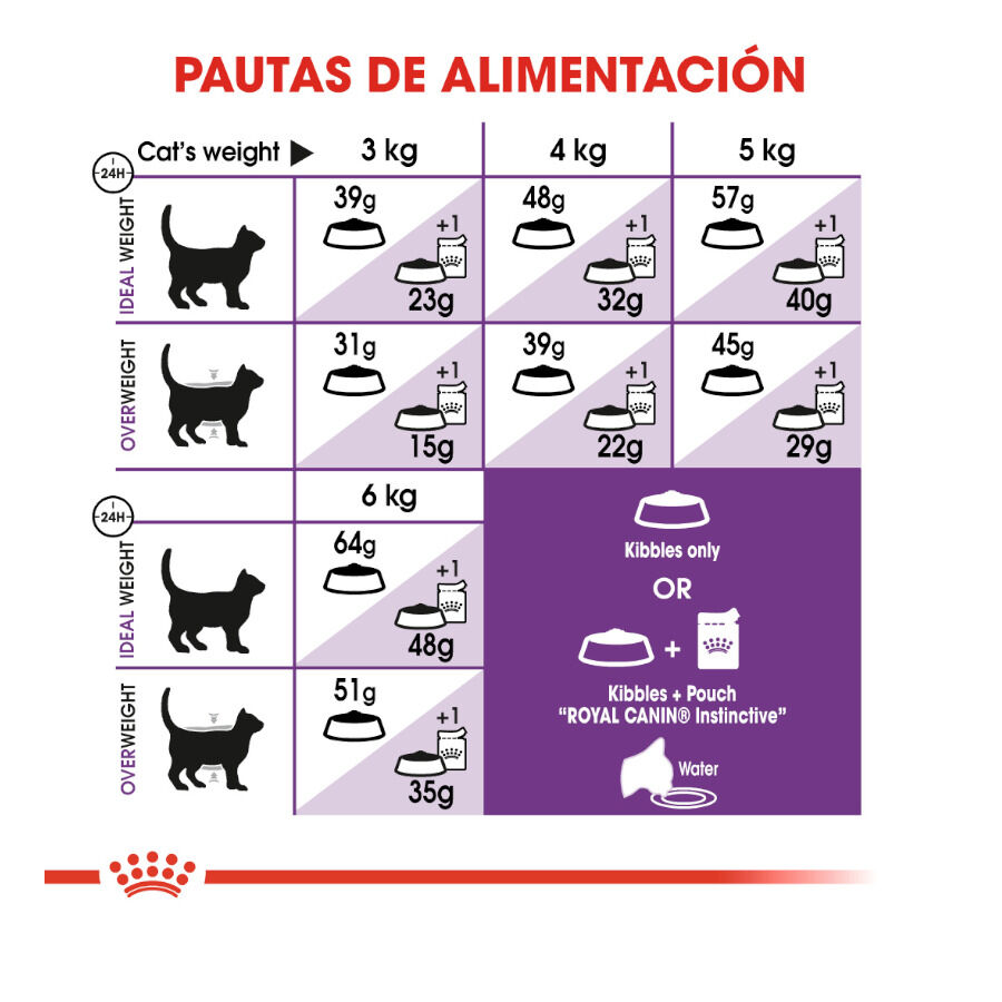 10 kg Royal Canin Regular Sensible 33 ra&ccedil;&atilde;o para gatos, , large Imagem n&uacute;mero 6