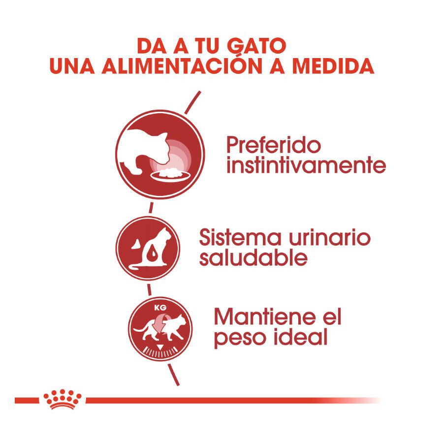 12 saquetas x 85 g Royal Canin Instinctive Saquetas de Gelatina para gatos Pack poupan&ccedil;a!, , large Imagem n&uacute;mero 4