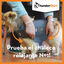 Thundershirt Colete Anti-Stress para cães, , large Indicador imagem número 6
