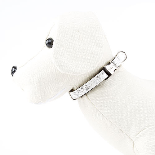 Envy Wild Forever Collar para perros color blanco Imagem n&uacute;mero 1