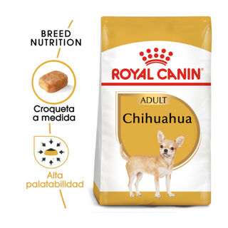 Royal Canin Adult Chihuahua ração para cães