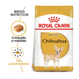 Royal Canin Adult Chihuahua ração para cães 