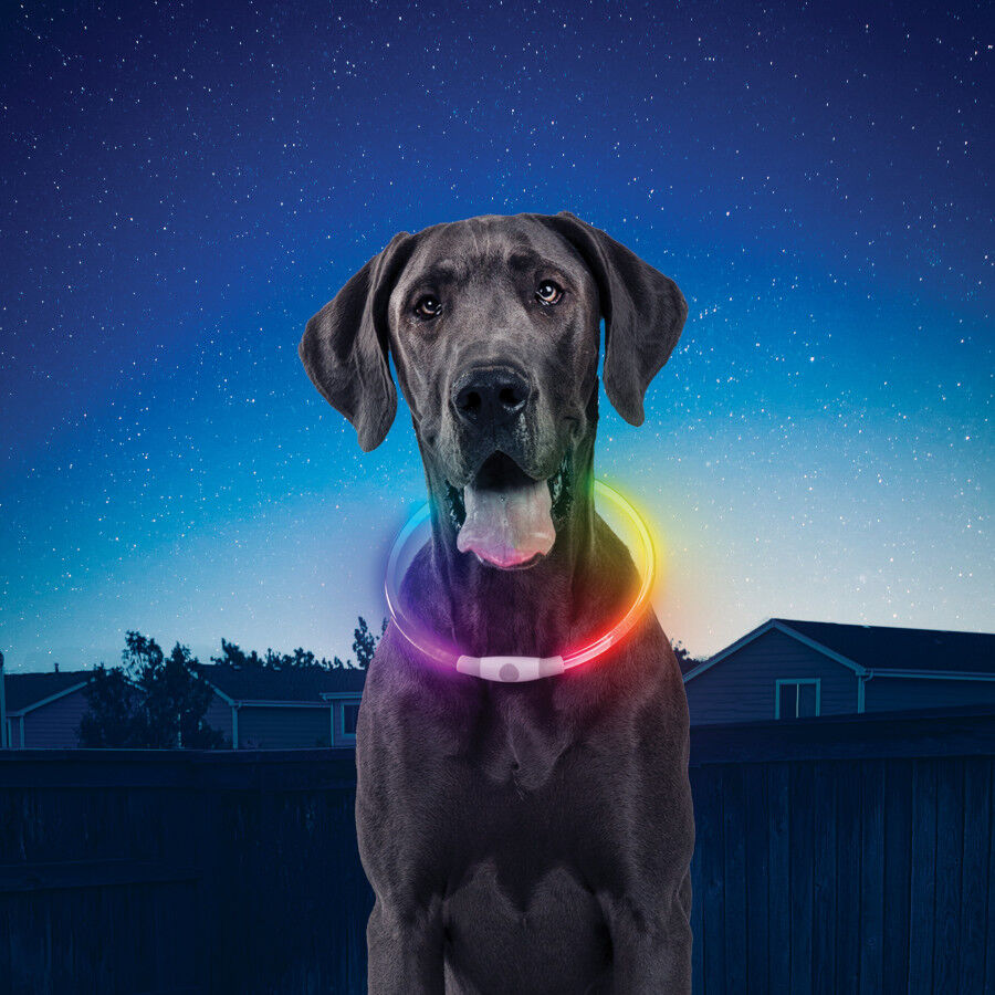 Nite Ize Nite Howl Disc-O-Select LED Coleira para c&atilde;es , , large Imagem n&uacute;mero 2