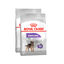 2 x 8 kg Royal Canin Mini Sterilised ração para cães Pack poupança!, , large Indicador imagem número 1