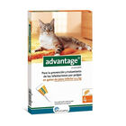 Advantage pipetas antiparasitárias para gatos - Pack 4, , large image number null