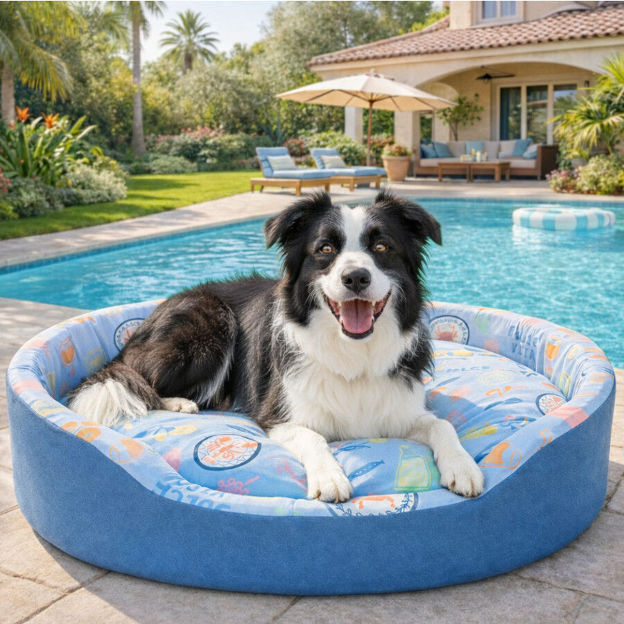 Summer Vibes Cool Bed Club Cama Refrescante para c&atilde;es, , large Imagem n&uacute;mero 1