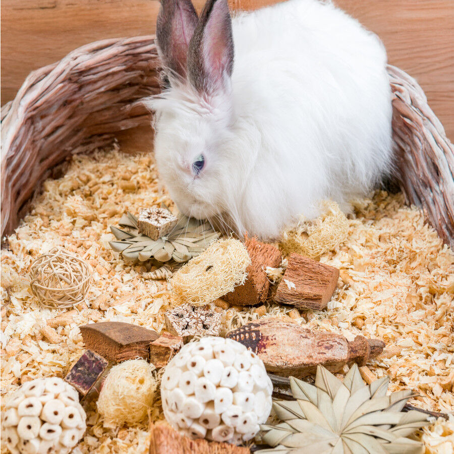 Quapas Nibble Caixa Presente Estrelas e Bolas Brinquedo para Roedores, , large Imagem n&uacute;mero 4