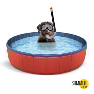 Summer Vibes Piscina Vermelha para cães