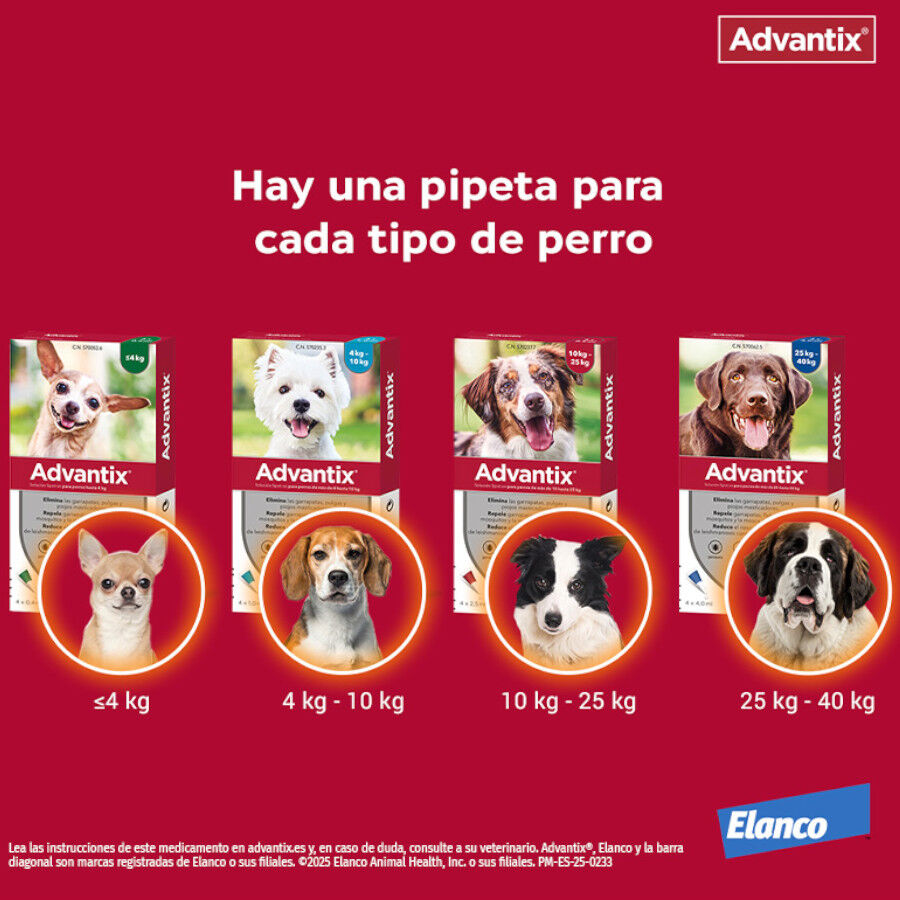 0-4 kg (1 ud.) Advantix Pipetas Antiparasit&aacute;rias para c&atilde;es, , large Imagem n&uacute;mero 2
