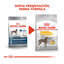 12 kg Royal Canin Maxi Dermacomfort ração para cães, , large Indicador imagem número 3