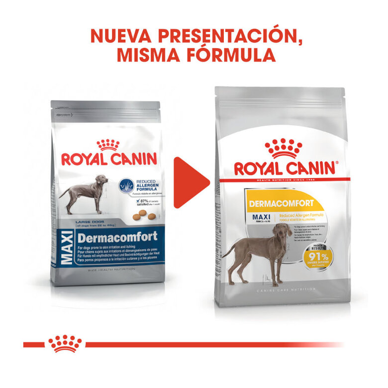 12 kg Royal Canin Maxi Dermacomfort ração para cães,  Imagem número 3 12 kg Royal Canin Maxi Dermacomfort ração para cães, , large Imagem número 3