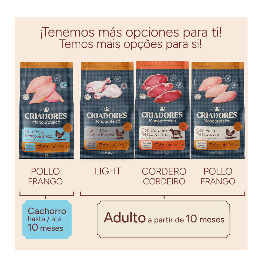 10 kg Criadores Monoproteico Adulto Ra&ccedil;&atilde;o de frango para c&atilde;es, , large Imagem n&uacute;mero 12