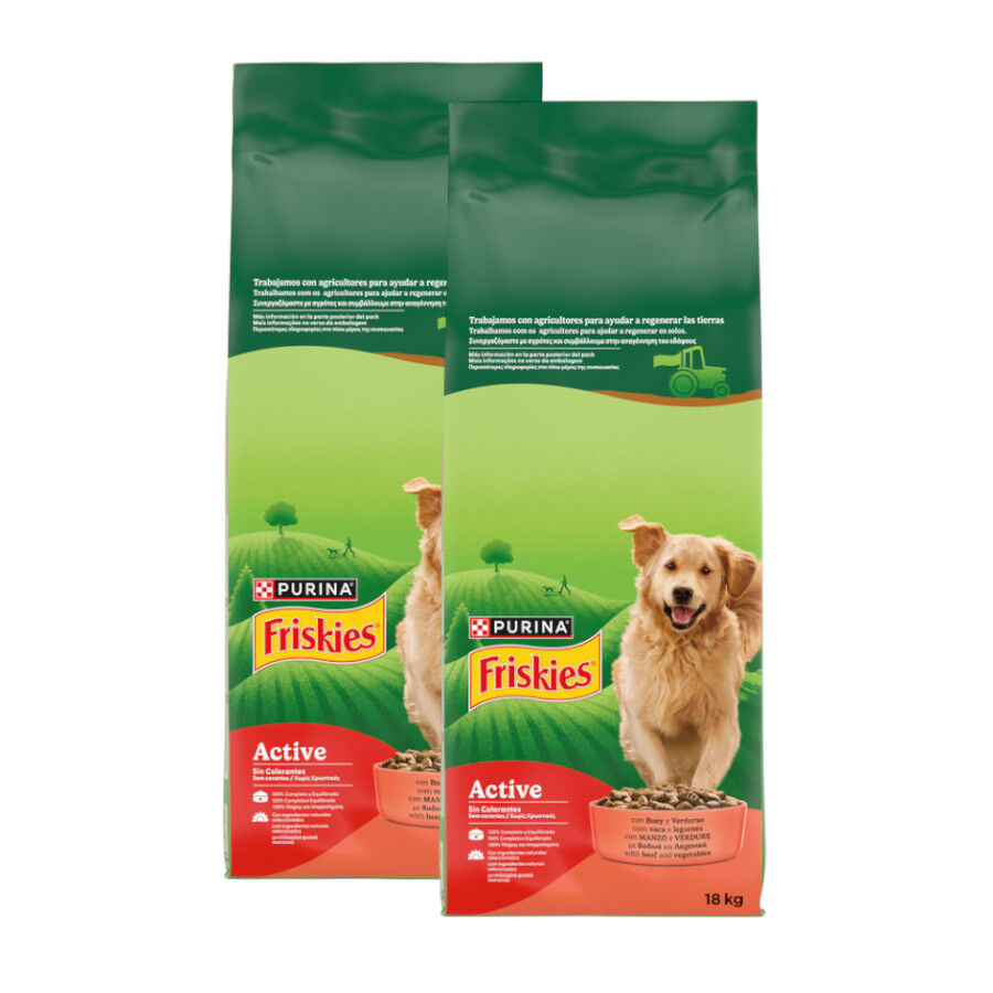 2 x 18 kg Friskies Active Ra&ccedil;&atilde;o para c&atilde;es Pack poupan&ccedil;a!, , large Imagem n&uacute;mero 1