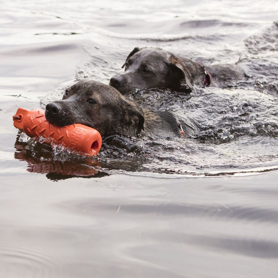 Kong Dummy Training cilindro de brinquedo para c&atilde;es, , large Imagem n&uacute;mero 2