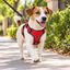 Dog Copenhagen Comfort Walk Pro Peitoral Vermelho para c&atilde;es, , large Indicador imagem n&uacute;mero 1