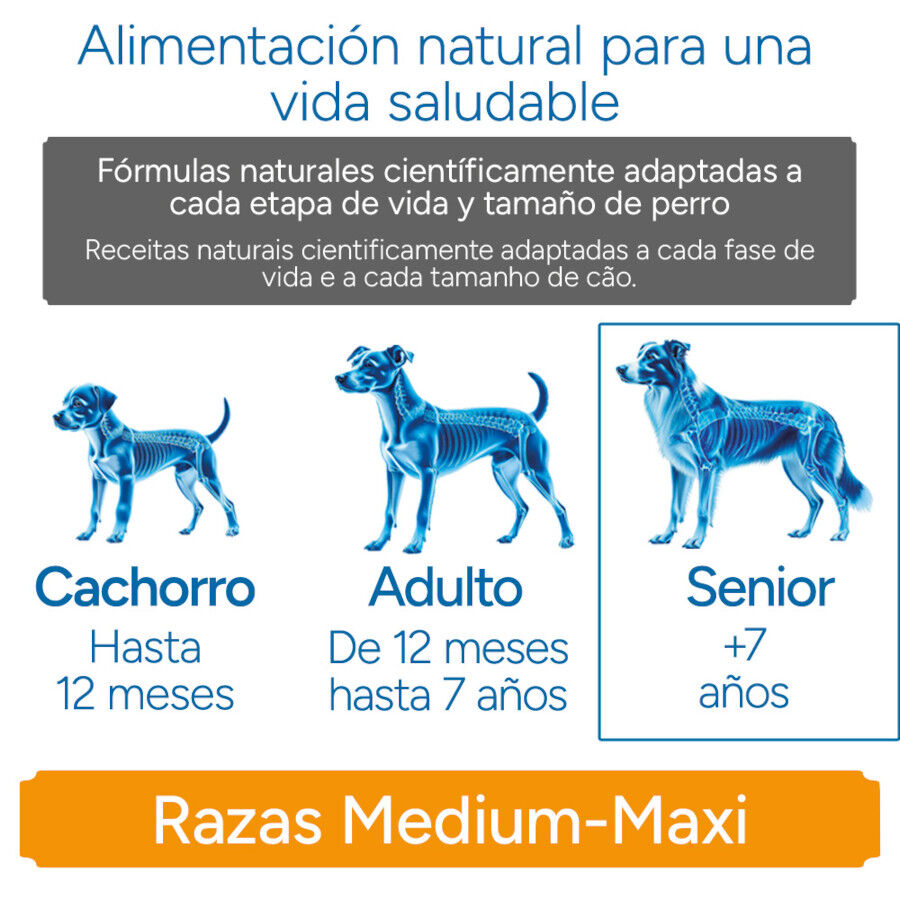 Criadores Cient&iacute;fico Senior Sensitive Medium-Maxi Ra&ccedil;&atilde;o de salm&atilde;o para c&atilde;es, , large Imagem n&uacute;mero 11