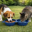 Gotoo Comedouro Port&aacute;til Duplo em Silicone Azul para c&atilde;es e gatos, , large Indicador imagem n&uacute;mero 1