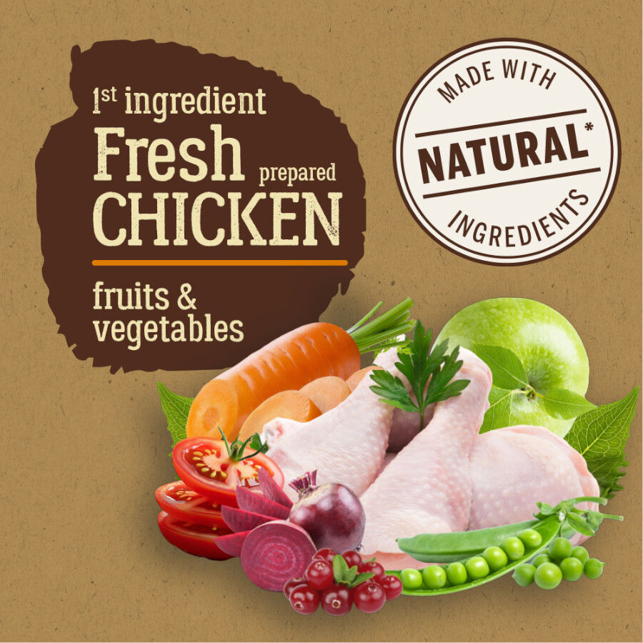 12 kg True Origins Pure Adult Frango e Arroz ra&ccedil;&atilde;o para c&atilde;es, , large Imagem n&uacute;mero 3