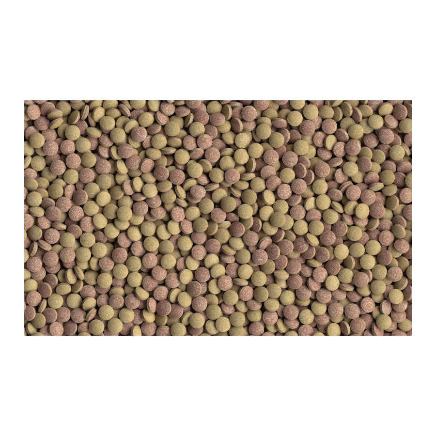 Tetra TabiMin Comprimidos para peixes , , large Imagem n&uacute;mero 2