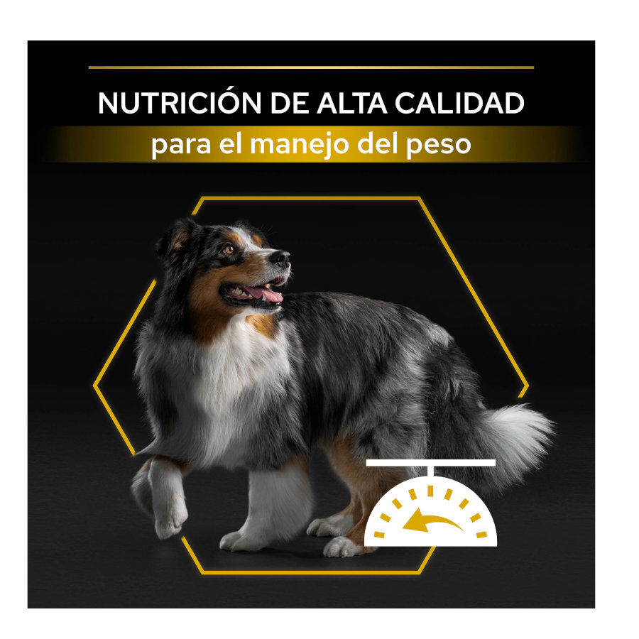 14 kg Pro Plan Adult Light/Sterilised Frango ra&ccedil;&atilde;o para c&atilde;es, , large Imagem n&uacute;mero 7