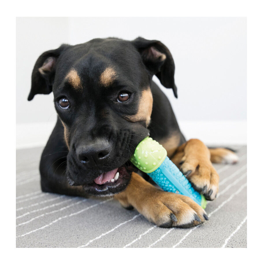 Kong Corestrength Osso para c&atilde;es, , large Imagem n&uacute;mero 2