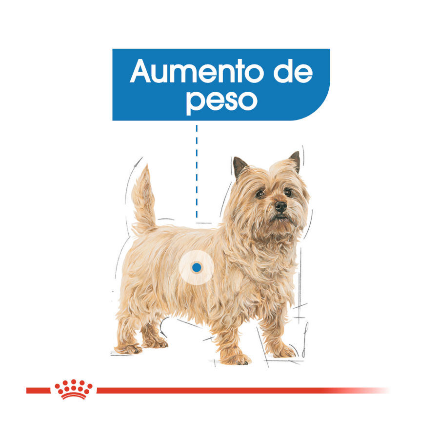 85 g Royal Canin Light Weight Care Saquetas Pat&ecirc; para c&atilde;es, , large Imagem n&uacute;mero 4