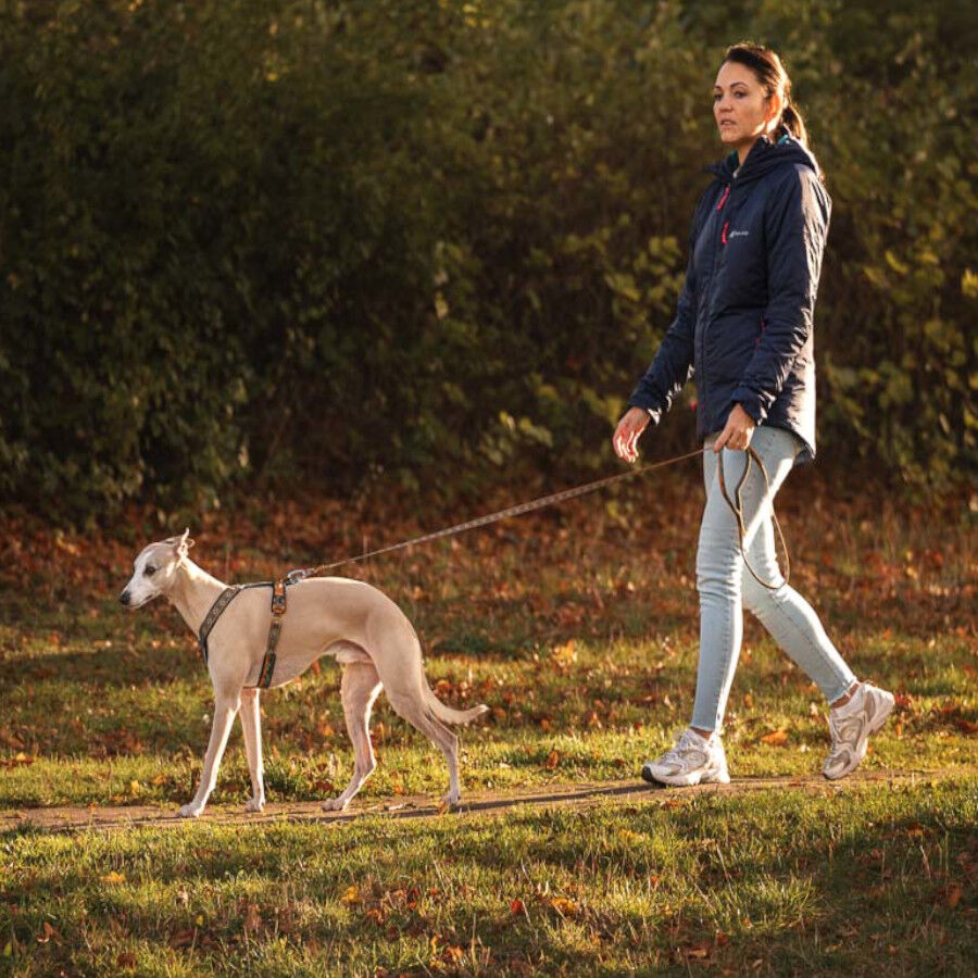 Non-stop Dogwear Trela Turquesa e Carvalho para c&atilde;es, , large Imagem n&uacute;mero 2
