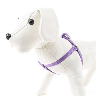 Nayeco Basic Peitoral Lilás para cães 