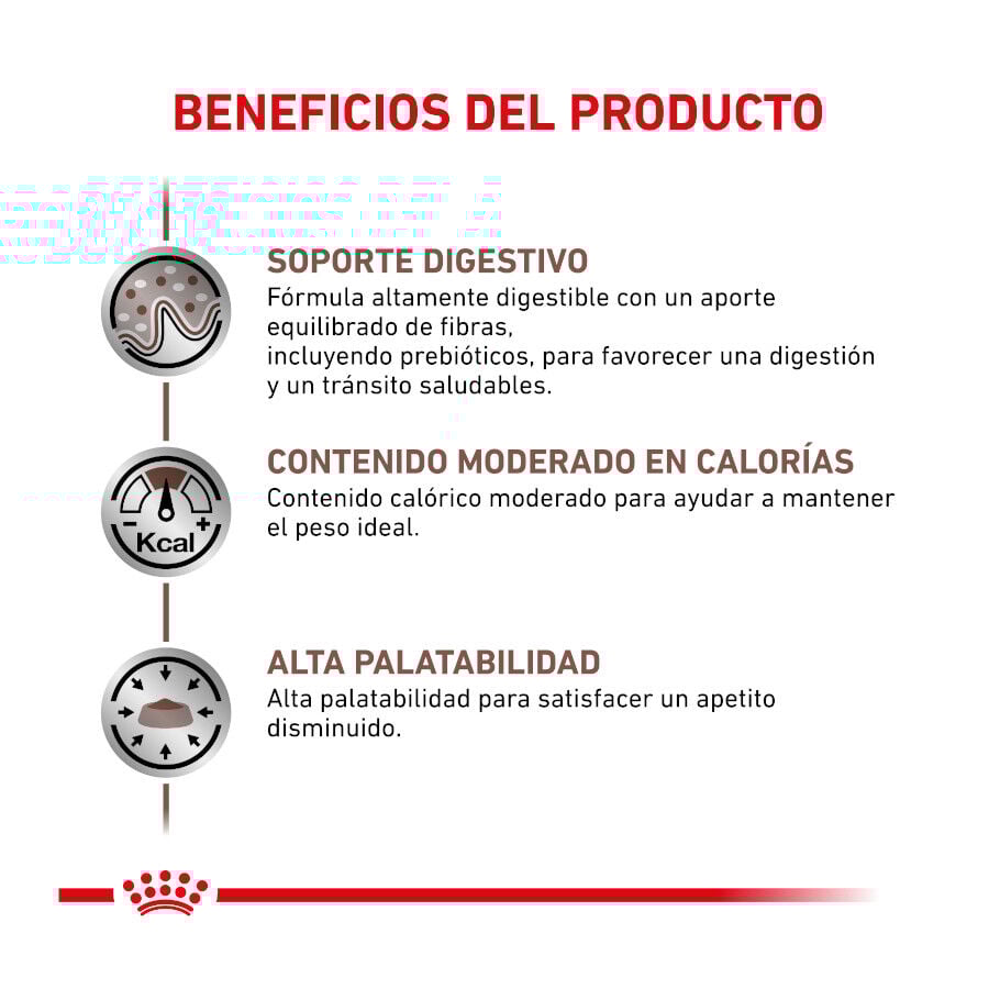 2 kg Royal Canin Veterinary Gastrointestinal Moderate Calorie ra&ccedil;&atilde;o para gatos, , large Imagem n&uacute;mero 2