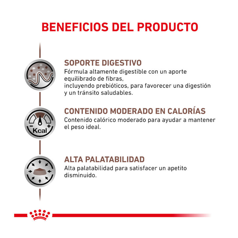 4 kg Royal Canin Veterinary Gastrointestinal Moderate Calorie ração para gatos,  Imagem número 2 4 kg Royal Canin Veterinary Gastrointestinal Moderate Calorie ração para gatos, , large Imagem número 2