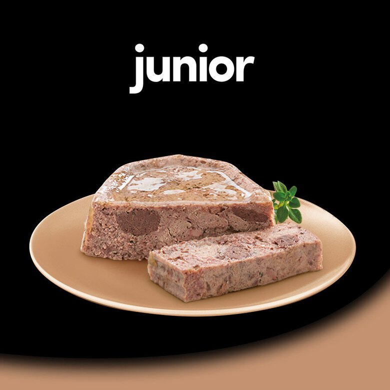 150 g Cesar Peru e Vitela Terrina em Geleia para Cachorros,  Imagem número 4 150 g Cesar Peru e Vitela Terrina em Geleia para Cachorros, , large Imagem número 4
