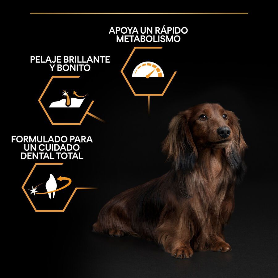 3 kg Pro Plan Adult Small e Mini Frango ra&ccedil;&atilde;o para c&atilde;es, , large Imagem n&uacute;mero 3