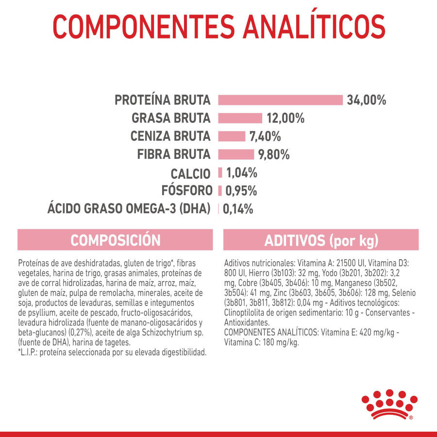 3.5 kg Royal Canin Kitten Sterilised ra&ccedil;&atilde;o para gatos , , large Imagem n&uacute;mero 8