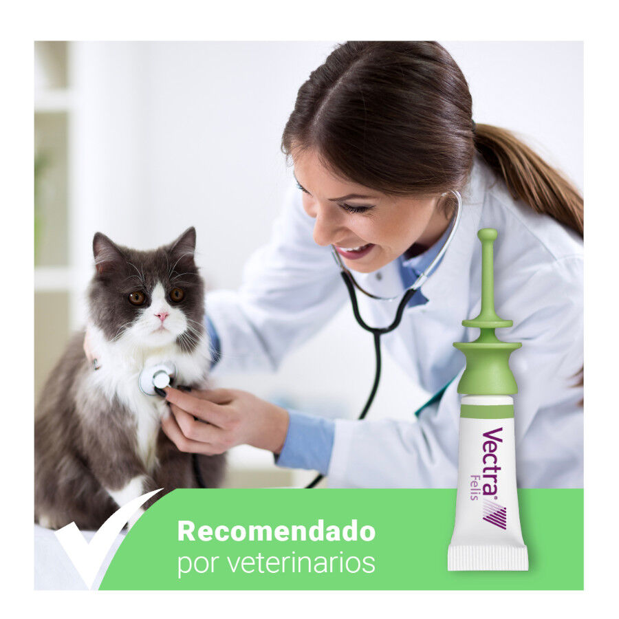 Vectra Felis Pipetas Antiparasit&aacute;rias para gatos - Pack 3, , large Imagem n&uacute;mero 9