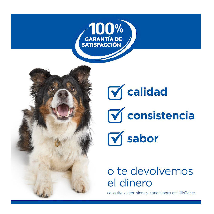 200 g Hill's Science Plan PuppyeMother Mousse de Frango em lata para c&atilde;es , , large Imagem n&uacute;mero 10