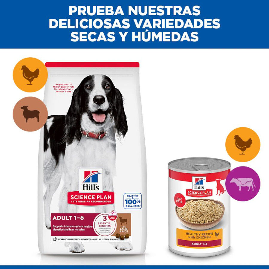2 x 14 kg Hill's Science Plan Adult Medium Cordeiro e Arroz ra&ccedil;&atilde;o para c&atilde;es Pack poupan&ccedil;a!, , large Imagem n&uacute;mero 9