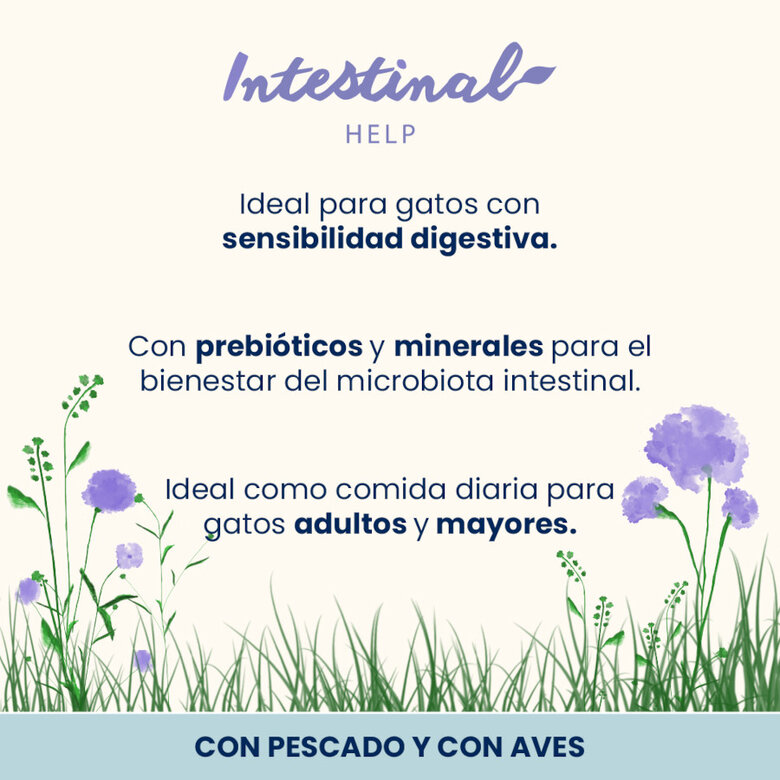 6 saquetas x 70 g Almo Nature Intestinal Help Peixe e Aves saquetas para gatos - Multipack,  Imagem número 2 6 saquetas x 70 g Almo Nature Intestinal Help Peixe e Aves saquetas para gatos - Multipack, , large Imagem número 2