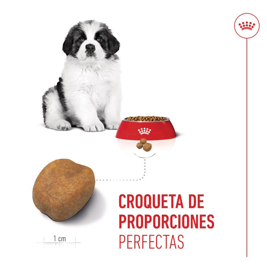 15 kg Royal Canin Puppy Giant ra&ccedil;&atilde;o para c&atilde;es, , large Imagem n&uacute;mero 5
