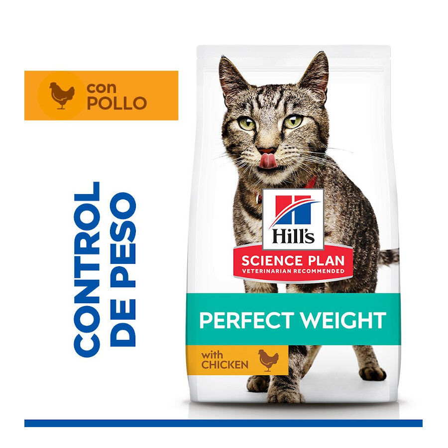 7 kg Hill's Science Plan Perfect Weight Adult frango ra&ccedil;&atilde;o para gatos, , large Imagem n&uacute;mero 2