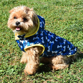 Nayeco Casaco Acolchado com Padrão de Ossos Azul para cães