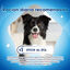36 sticks Dentalife Snacks Dentários para cães de raça grande, , large Indicador imagem número 4